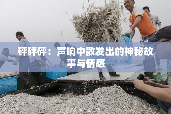 砰砰砰：声响中散发出的神秘故事与情感