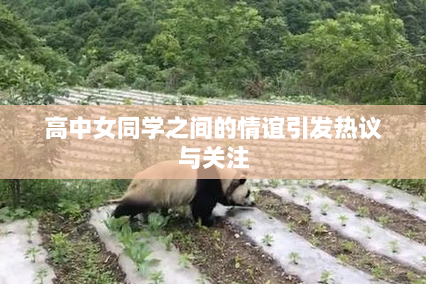 高中女同学之间的情谊引发热议与关注