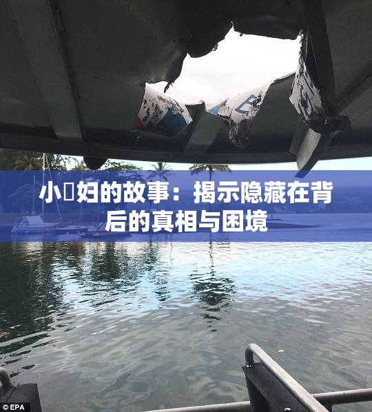 小婬妇的故事：揭示隐藏在背后的真相与困境