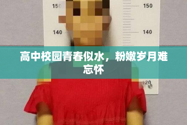 高中校园青春似水，粉嫩岁月难忘怀