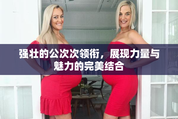 强壮的公次次领衔，展现力量与魅力的完美结合