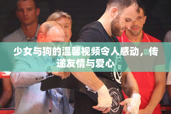 少女与狗的温馨视频令人感动，传递友情与爱心