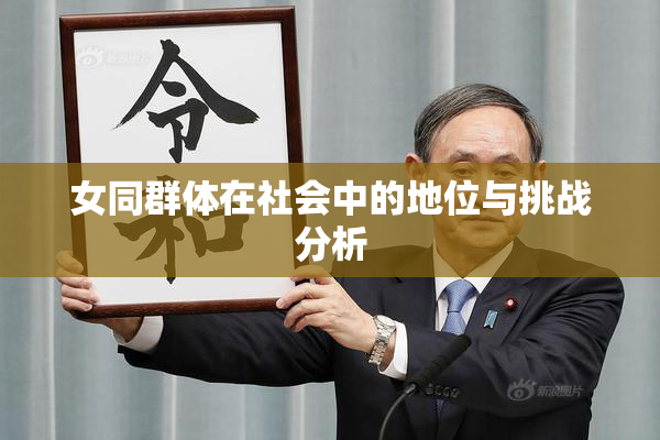 女同群体在社会中的地位与挑战分析