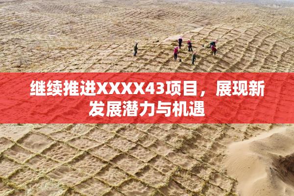 继续推进XXXX43项目，展现新发展潜力与机遇