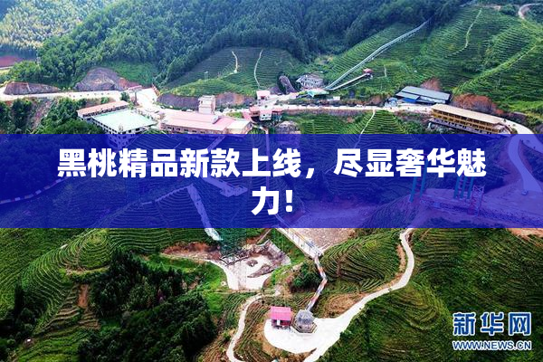 黑桃精品新款上线，尽显奢华魅力！