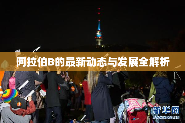 阿拉伯B的最新动态与发展全解析