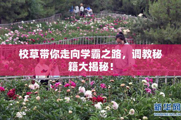 校草带你走向学霸之路，调教秘籍大揭秘！