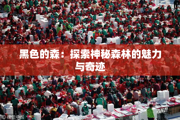 黑色的森：探索神秘森林的魅力与奇迹
