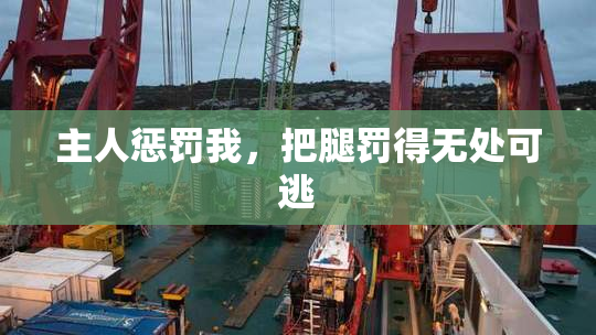 主人惩罚我，把腿罚得无处可逃
