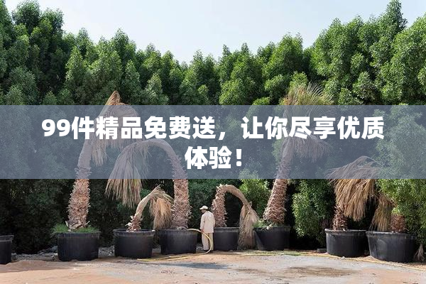 99件精品免费送，让你尽享优质体验！