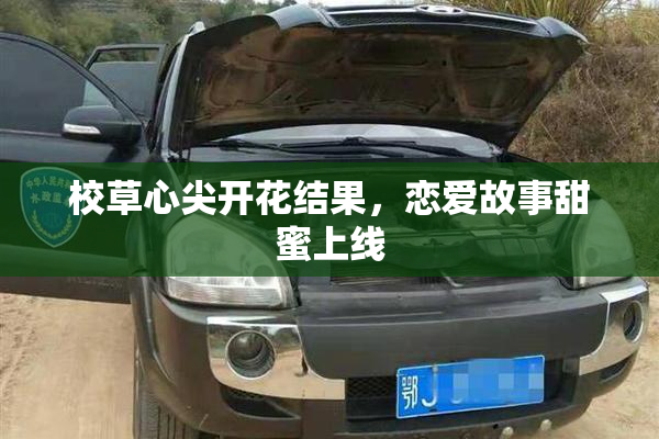 校草心尖开花结果，恋爱故事甜蜜上线
