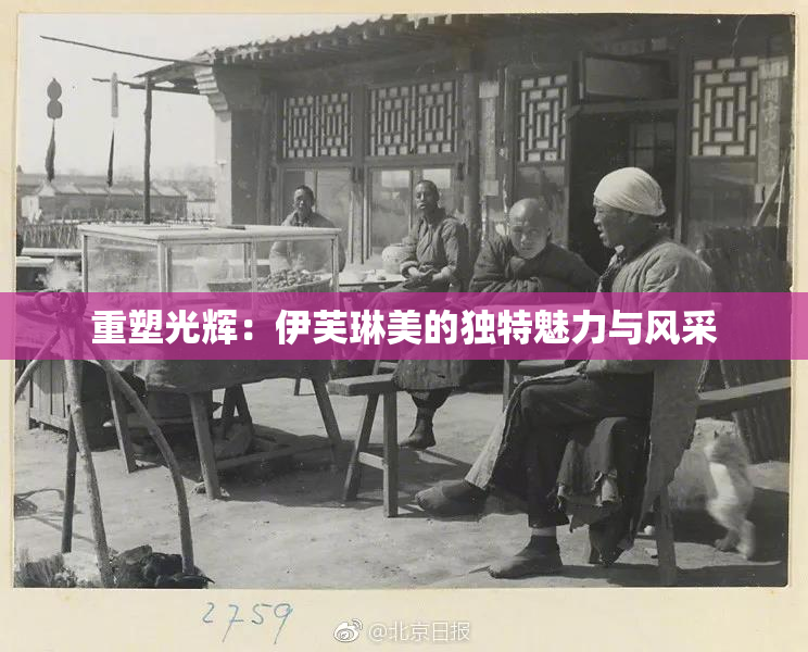 重塑光辉：伊芙琳美的独特魅力与风采
