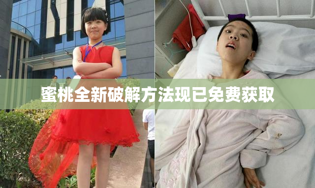 蜜桃全新破解方法现已免费获取