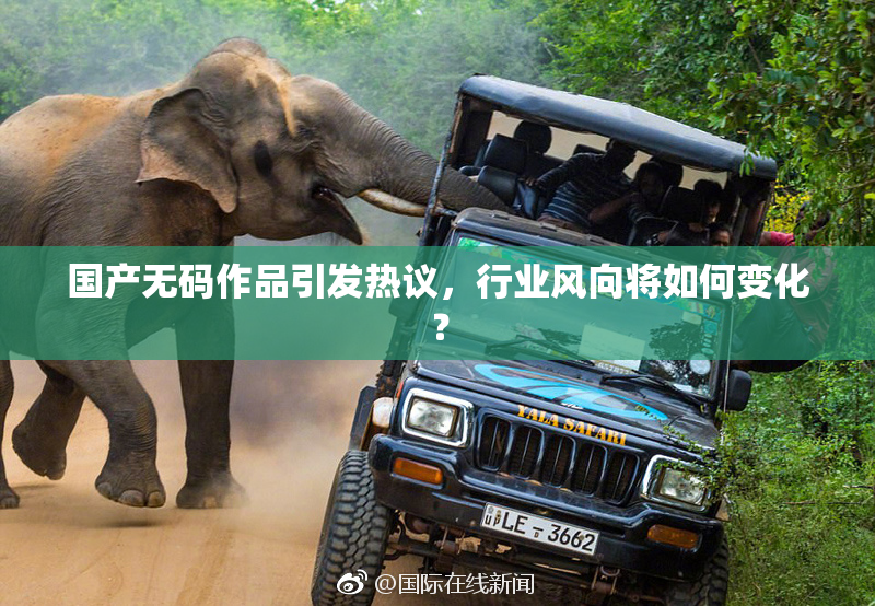 国产无码作品引发热议，行业风向将如何变化？