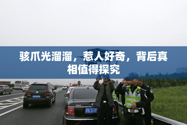 骇爪光溜溜，惹人好奇，背后真相值得探究