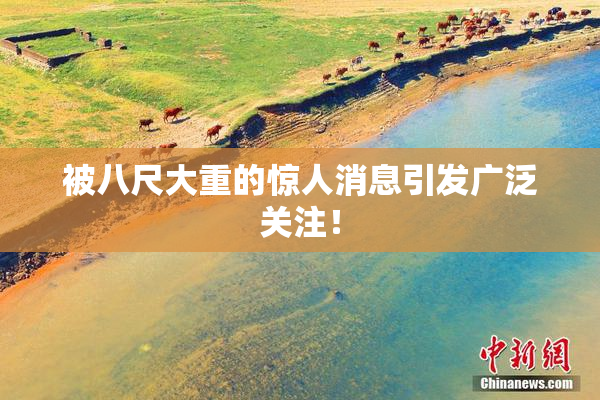 被八尺大重的惊人消息引发广泛关注！