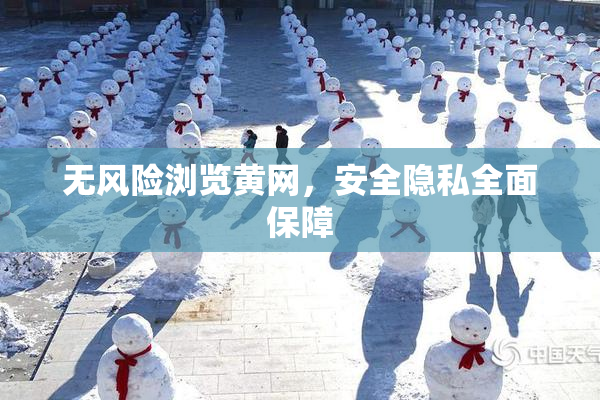 无风险浏览黄网，安全隐私全面保障