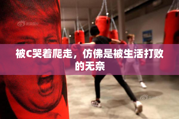 被C哭着爬走，仿佛是被生活打败的无奈