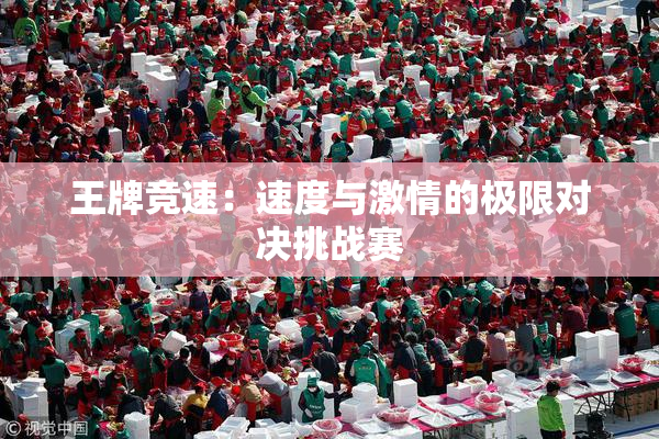 王牌竞速：速度与激情的极限对决挑战赛