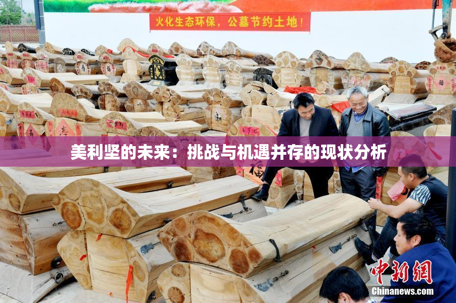 美利坚的未来：挑战与机遇并存的现状分析