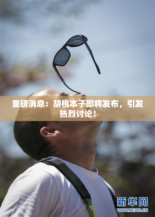 重磅消息：胡桃本子即将发布，引发热烈讨论！