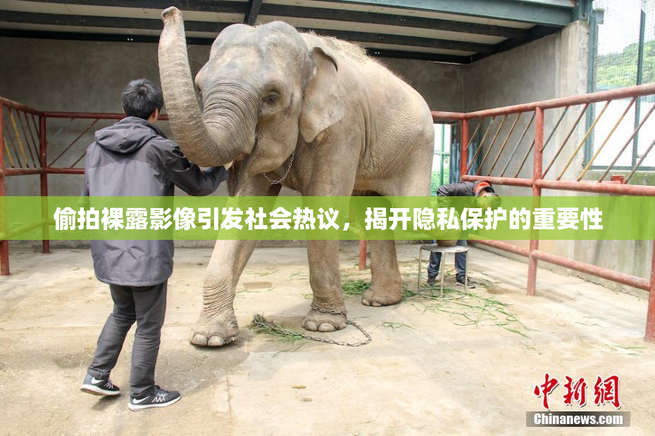偷拍裸露影像引发社会热议，揭开隐私保护的重要性