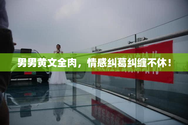 男男黄文全肉，情感纠葛纠缠不休！