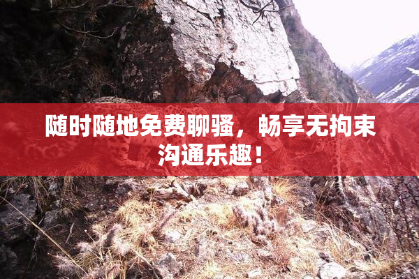 随时随地免费聊骚，畅享无拘束沟通乐趣！