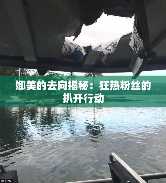 娜美的去向揭秘：狂热粉丝的扒开行动