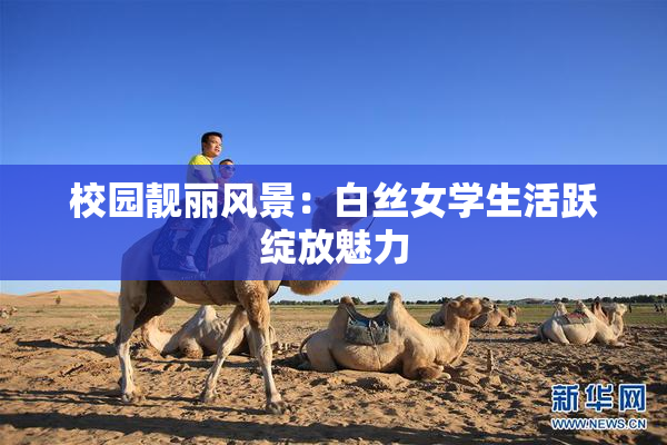 校园靓丽风景：白丝女学生活跃绽放魅力