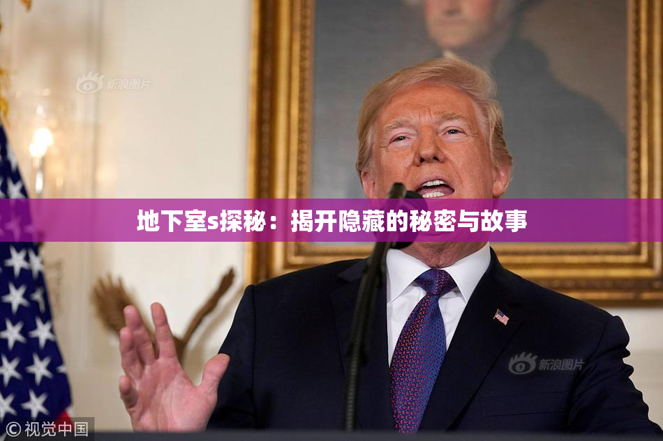 地下室s探秘：揭开隐藏的秘密与故事