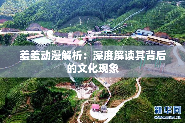 羞羞动漫解析：深度解读其背后的文化现象