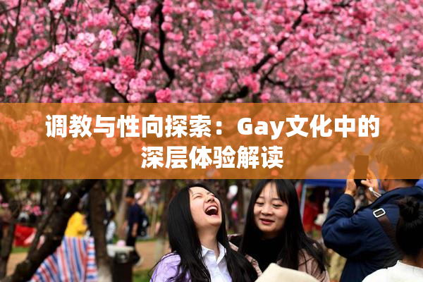 调教与性向探索：Gay文化中的深层体验解读