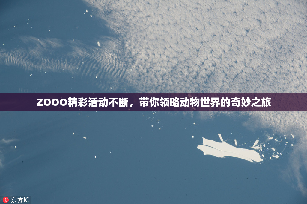 ZOOO精彩活动不断，带你领略动物世界的奇妙之旅