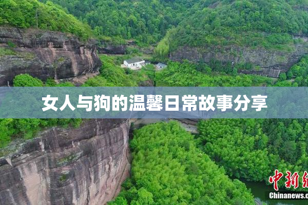 女人与狗的温馨日常故事分享