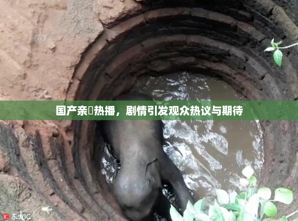 国产亲妺热播，剧情引发观众热议与期待