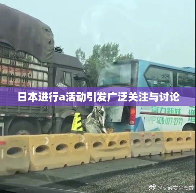 日本进行a活动引发广泛关注与讨论