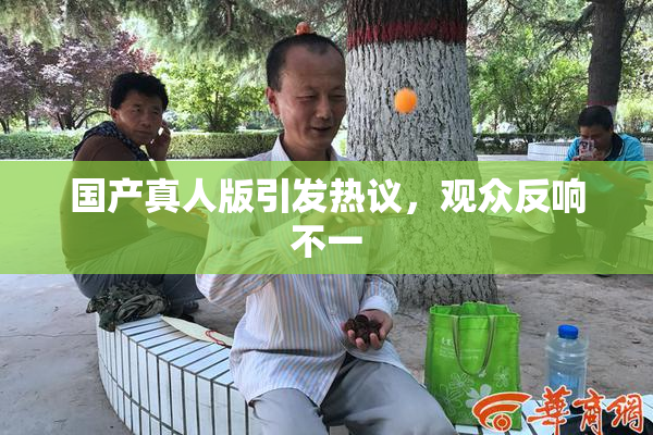 国产真人版引发热议，观众反响不一