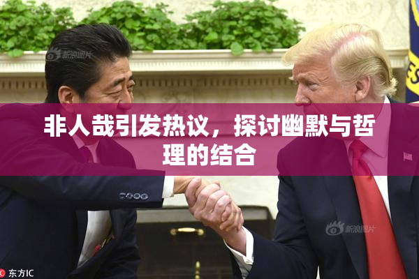 非人哉引发热议，探讨幽默与哲理的结合