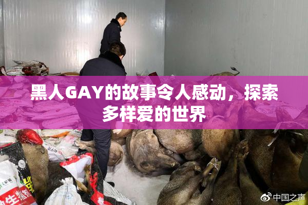 黑人GAY的故事令人感动，探索多样爱的世界