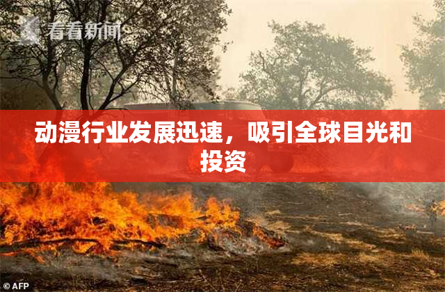 动漫行业发展迅速，吸引全球目光和投资
