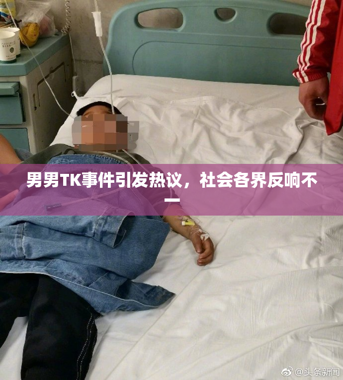 男男TK事件引发热议，社会各界反响不一