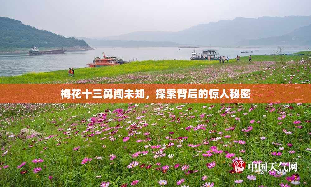 梅花十三勇闯未知，探索背后的惊人秘密