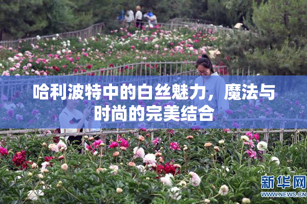 哈利波特中的白丝魅力，魔法与时尚的完美结合