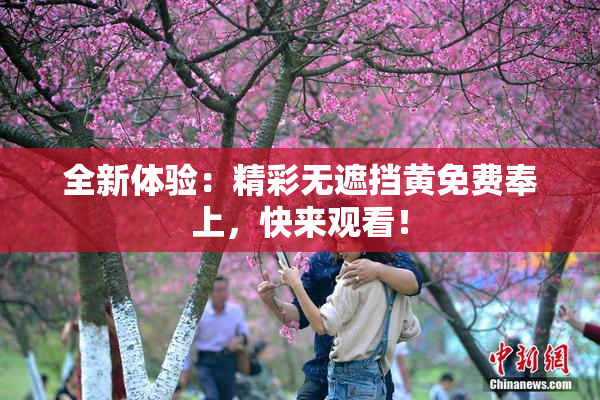全新体验：精彩无遮挡黄免费奉上，快来观看！