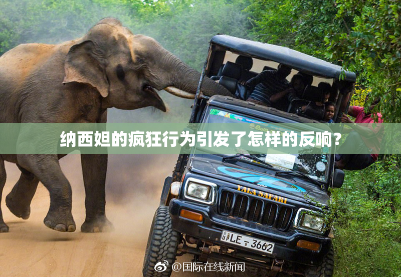 纳西妲的疯狂行为引发了怎样的反响？