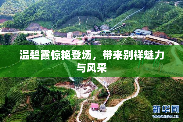 温碧霞惊艳登场，带来别样魅力与风采