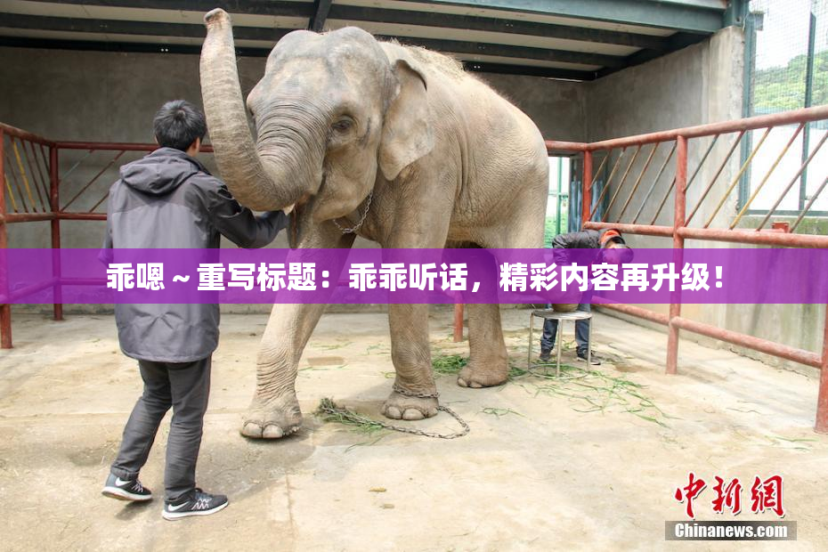 乖嗯～重写标题：乖乖听话，精彩内容再升级！