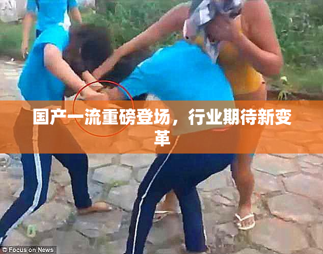 国产一流重磅登场，行业期待新变革