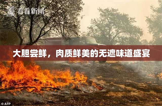 大胆尝鲜，肉质鲜美的无遮味道盛宴